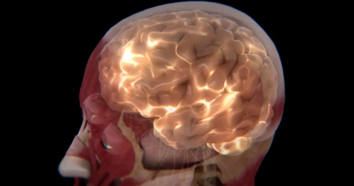 Scientists Identify 2 Distinct Subtypes of Autism in The Brain