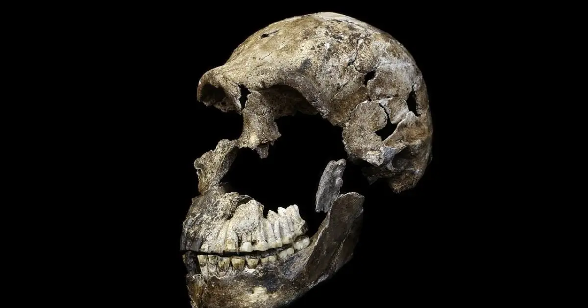 A Controversial Ancient Human Burial Site Just Got More Mysterious