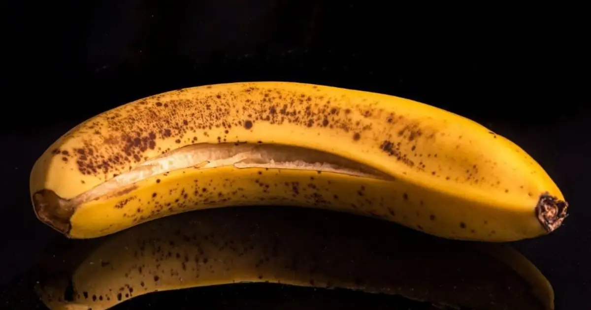 The 4 Key Signs You Should Chuck Old Food, According to Science