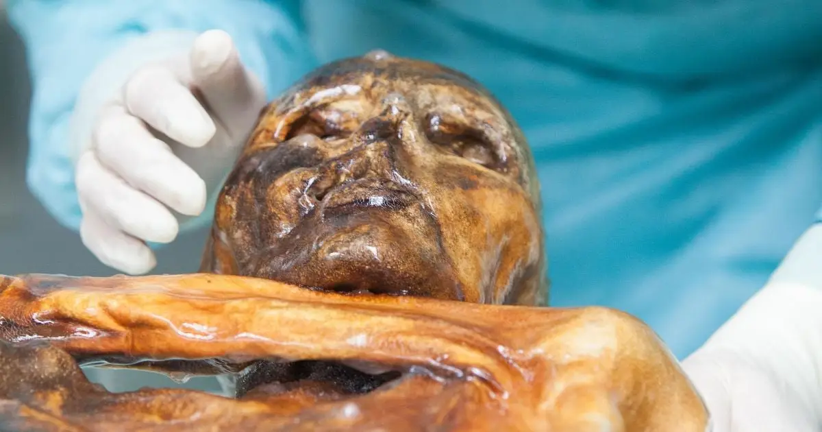Scientists Find Signs of Active Life in Ötzi The Iceman