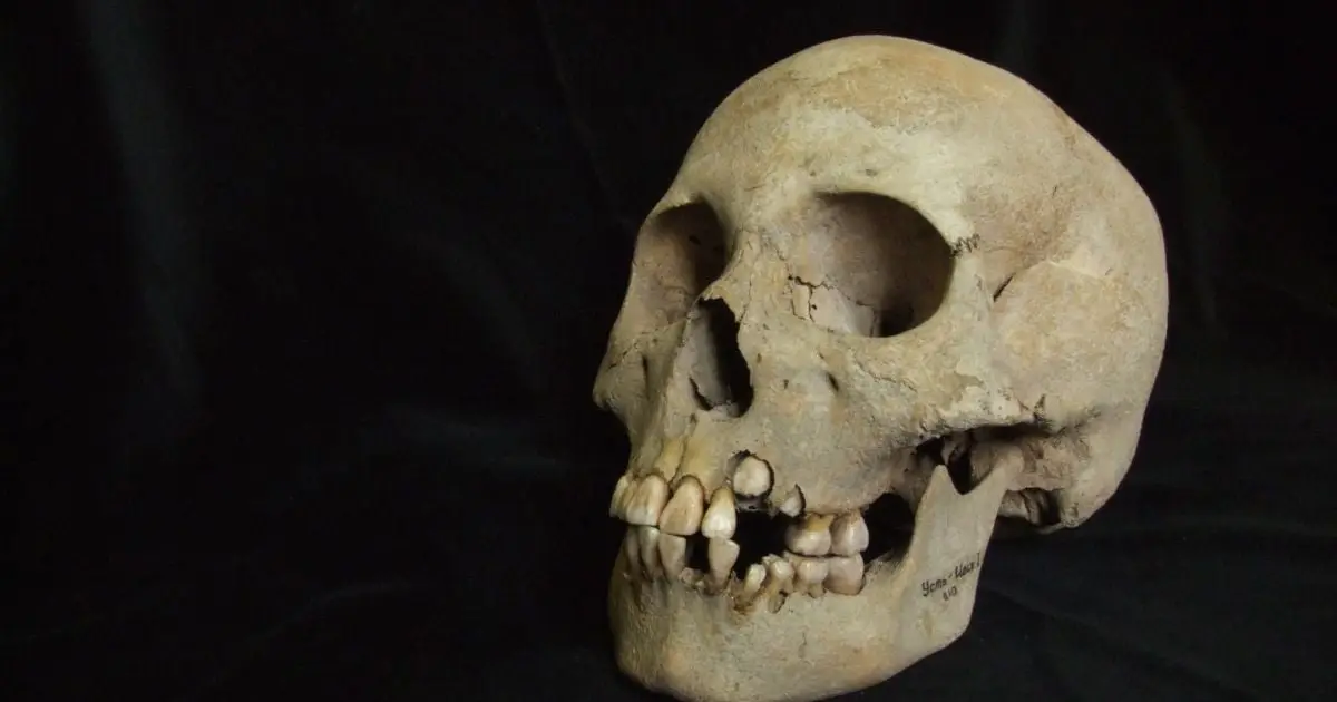 DNA Reveals an Ancient Killer Was Already Deadly 5,500 Years Ago
