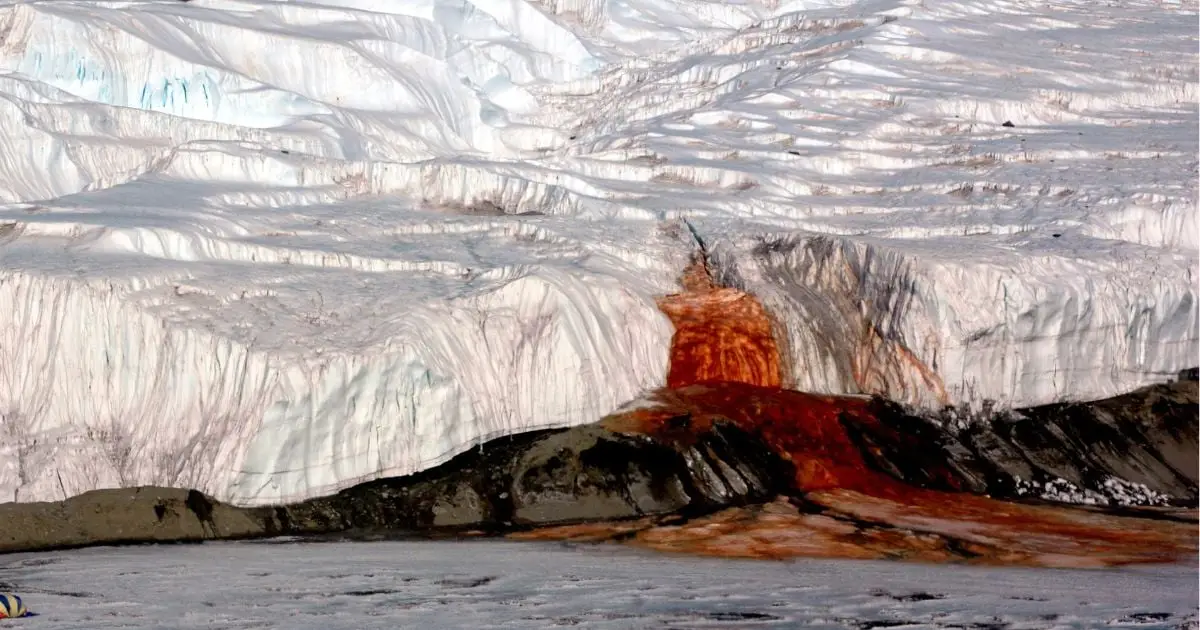 There's a Waterfall in Antarctica That Bleeds Red – Here's What's Hiding Inside It
