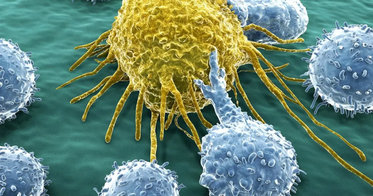 Scientists Just Unlocked an Endless Army of Cancer-Fighting Cells