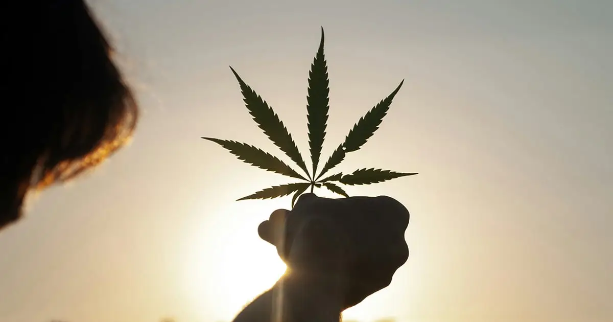 Your Cannabis Habit May Be Quietly Raising Your Stress Levels Every Morning