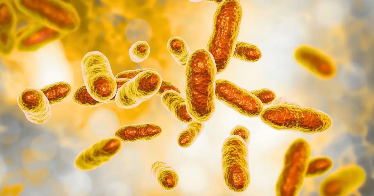 Uranium-Eating Bacteria Leave Just 5% of The Radioactive Metal in Toxic Mine Water, Scientists Discover
