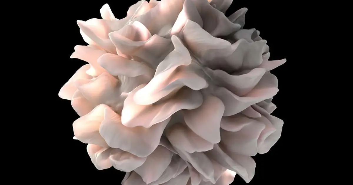 A Common Gym Supplement May Give Cancer-Fighting Cells an Energy Boost
