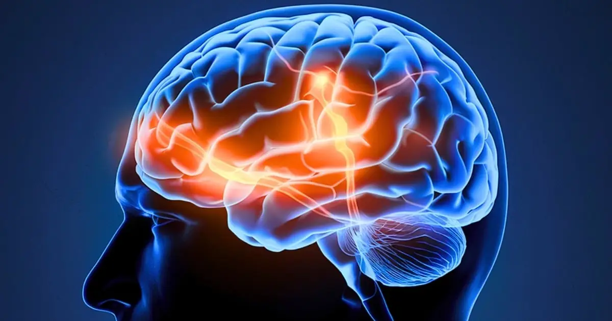 Your Brain Really Can Learn to Multitask – And Scientists Just Revealed How