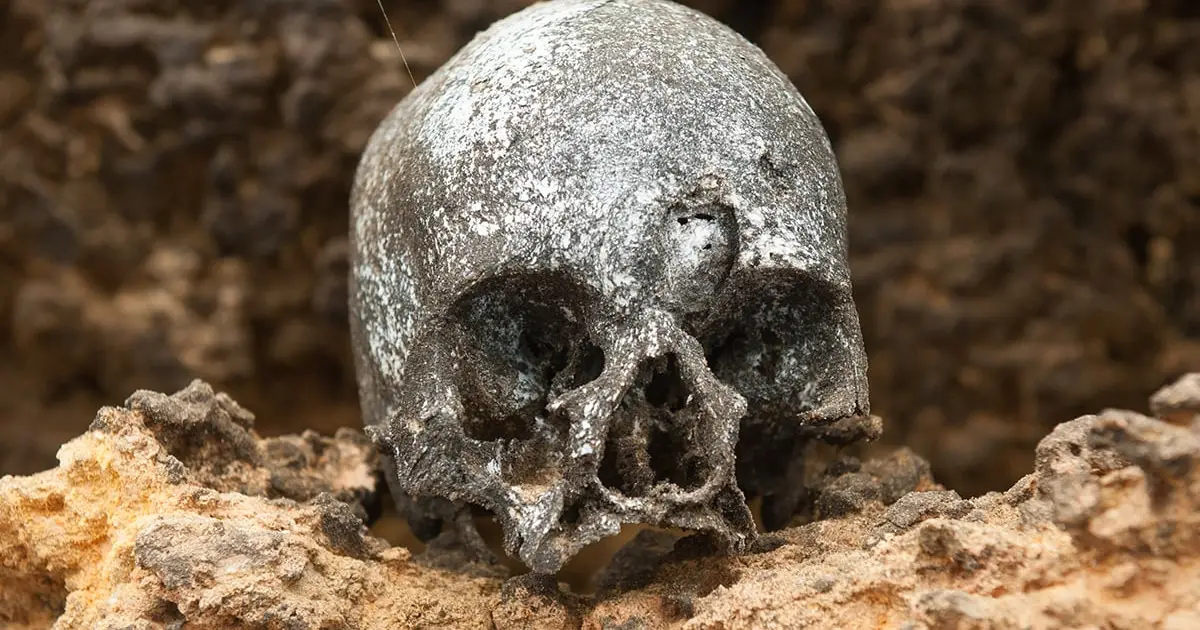 'Clear Evidence': Ancient DNA From Chilean Mummies Reveals Who Brought Smallpox to The Americas