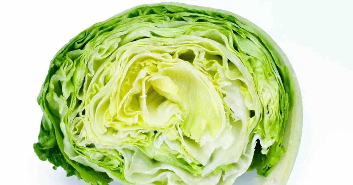 Iceberg Lettuce Has Been Implicated in The US Cyclospora Outbreak – Here's How You Should Prepare Your Salad