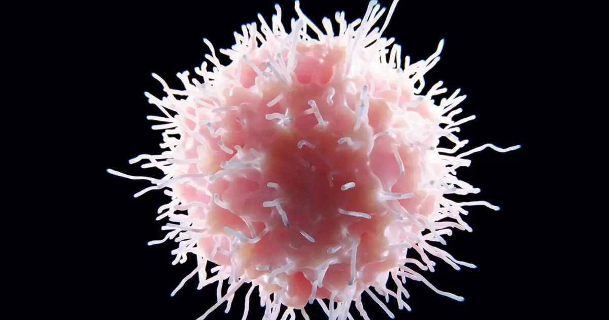 First-of-Its-Kind Lupus Treatment Significantly Reduces Symptoms in Mice