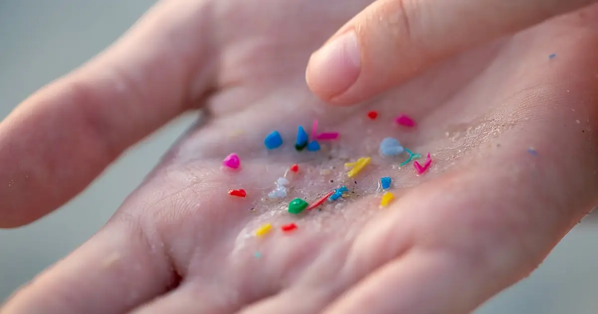 Scientists Tested 17 Human Artery Samples – And Found Microplastics in Every Single One