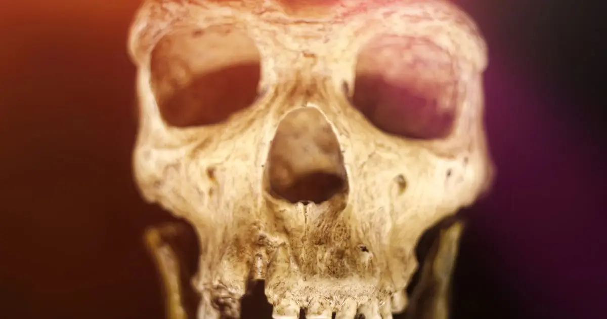 Humans And Neanderthals Shared a Culture For 20,000 Years, Cave Discovery Suggests