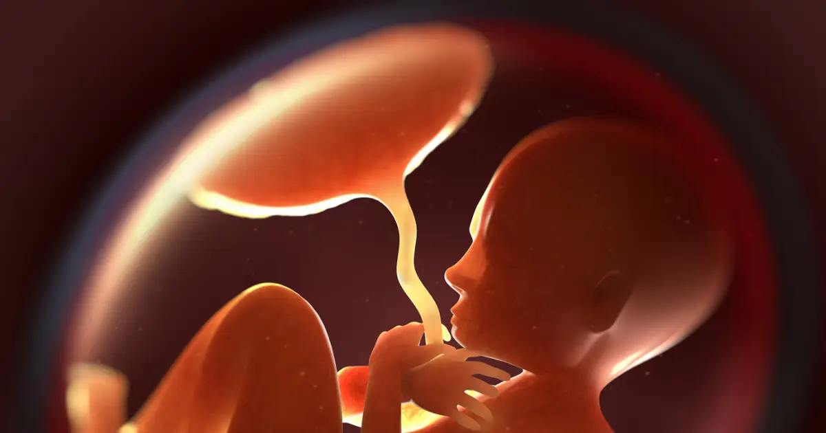New Evidence That Microplastics Can Cross Placental Barrier And Alter Hormone Production