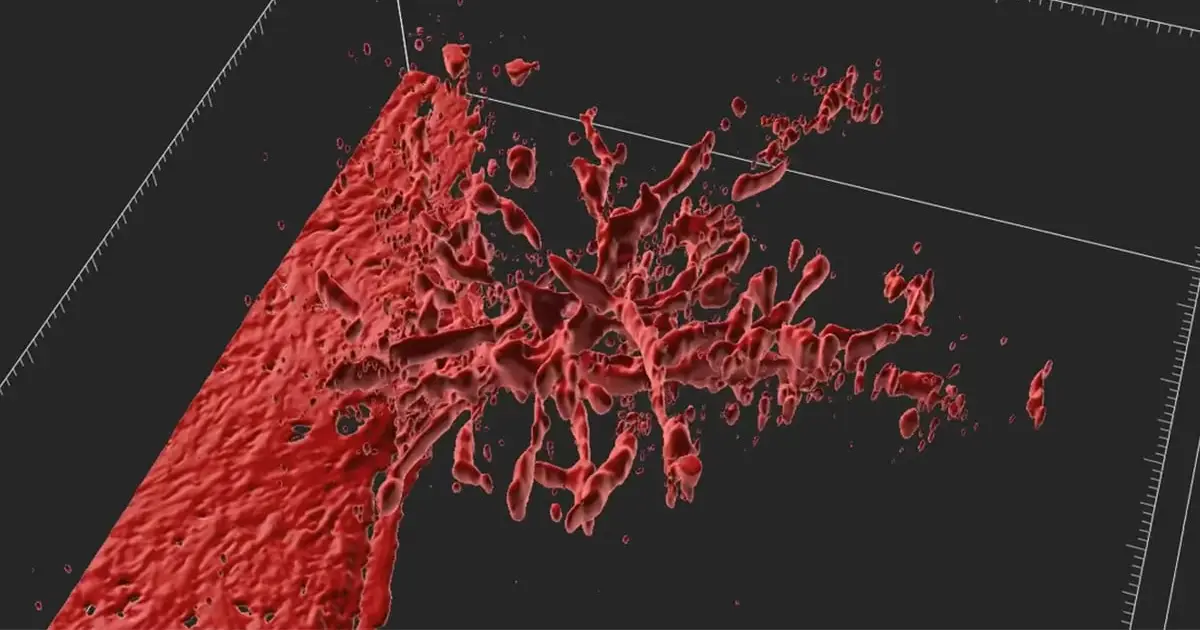 Scientists Find a More Precise Way to Grow Artificial Blood Vessels, Using Magnets