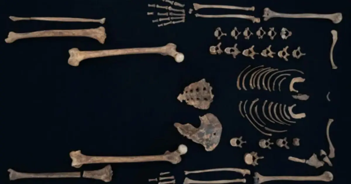 Bones of Ancient Egyptian Princesses Reveal They Were Kind of Badass