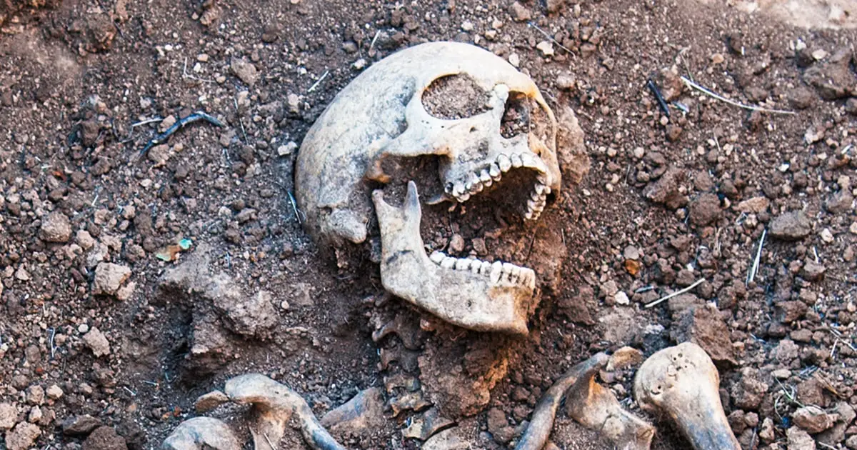Mathematicians Reveal Why Humans Keep Becoming Cannibals