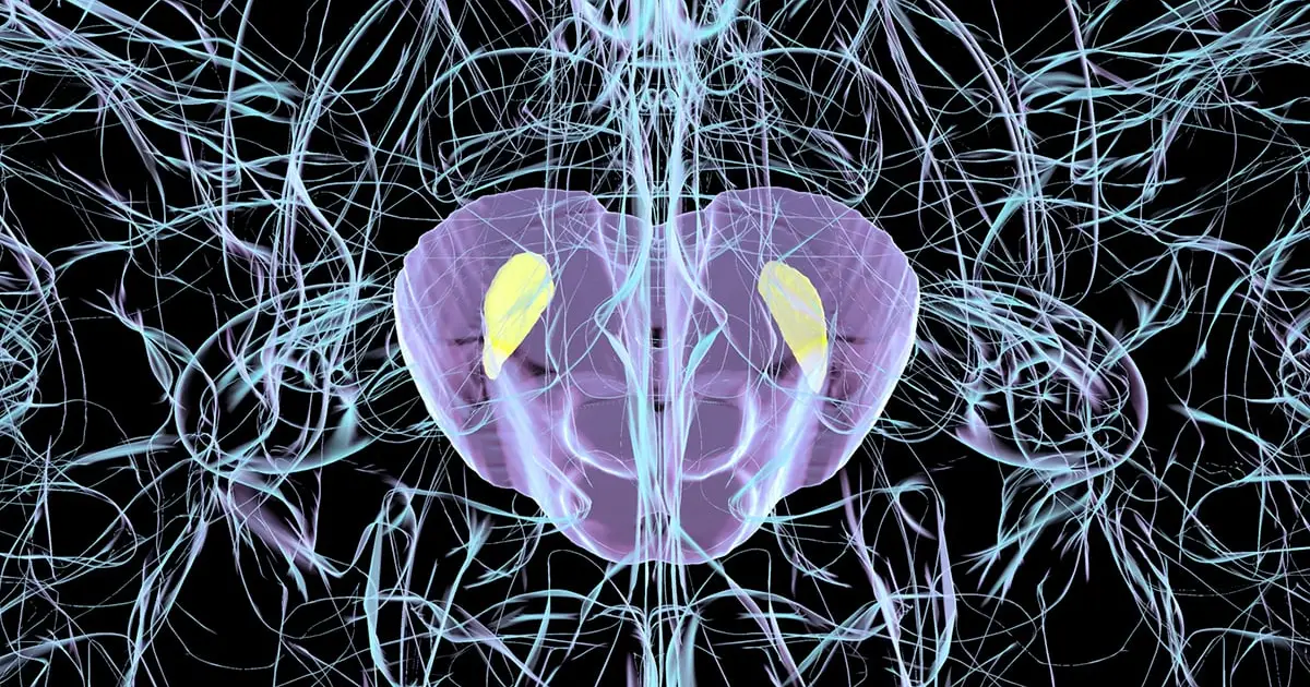Common Virus Can Trigger Parkinson's-Like Brain Damage in Mice