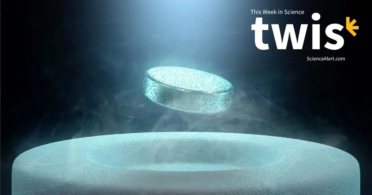 This Week in Science: Knee Pain Relief, a Superconductor Record, And More!