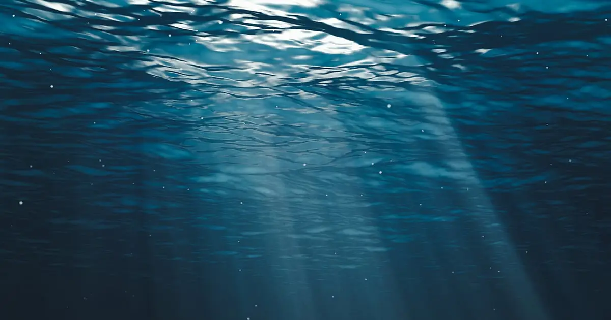 'Most Isolated Environments': Microplastics Are Finding Their Way Down to Deep-Sea Hydrothermal Vents