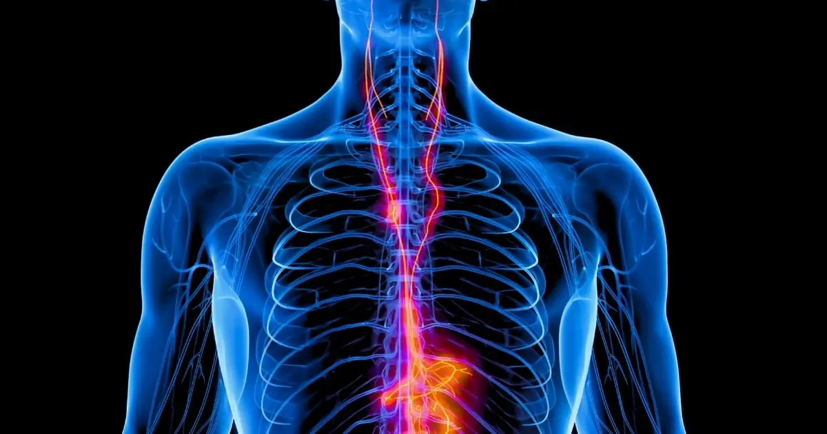 Vagus Nerve Stimulation Has a Profound Impact on Severe Depression, Major Trial Finds