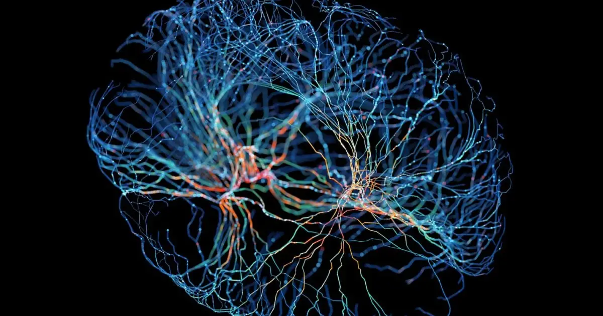 The Brain Seems to Rearrange Itself as Tinnitus Becomes Chronic