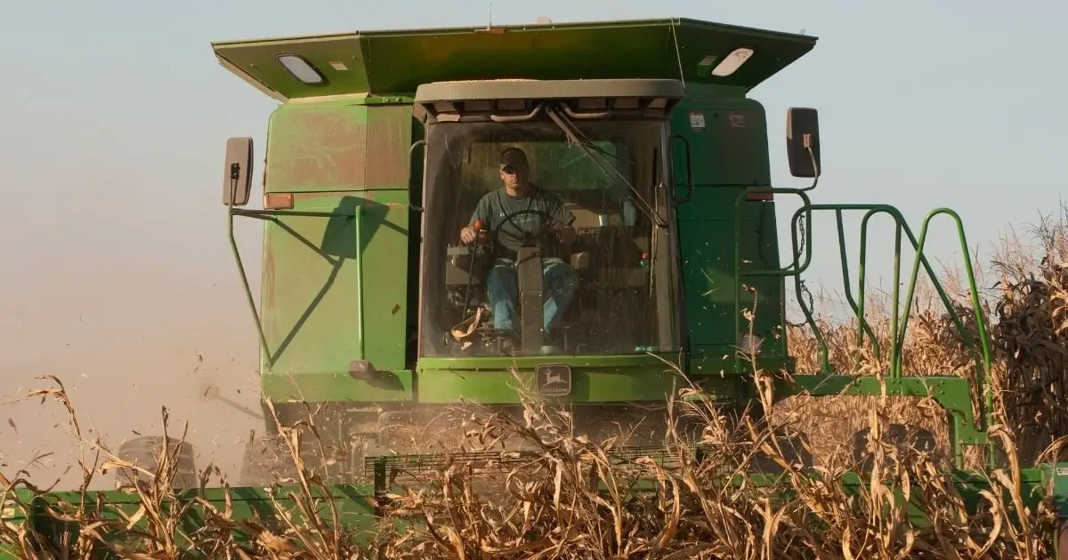 Scientists Found a Genius Way to Remove 'Forever Chemicals' From Soil