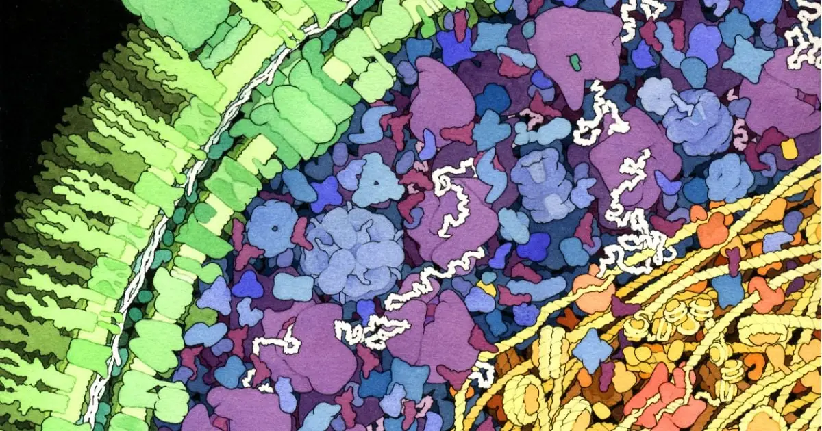 Scientists Discover a Bizarre New Way Life Can Make DNA… Without DNA