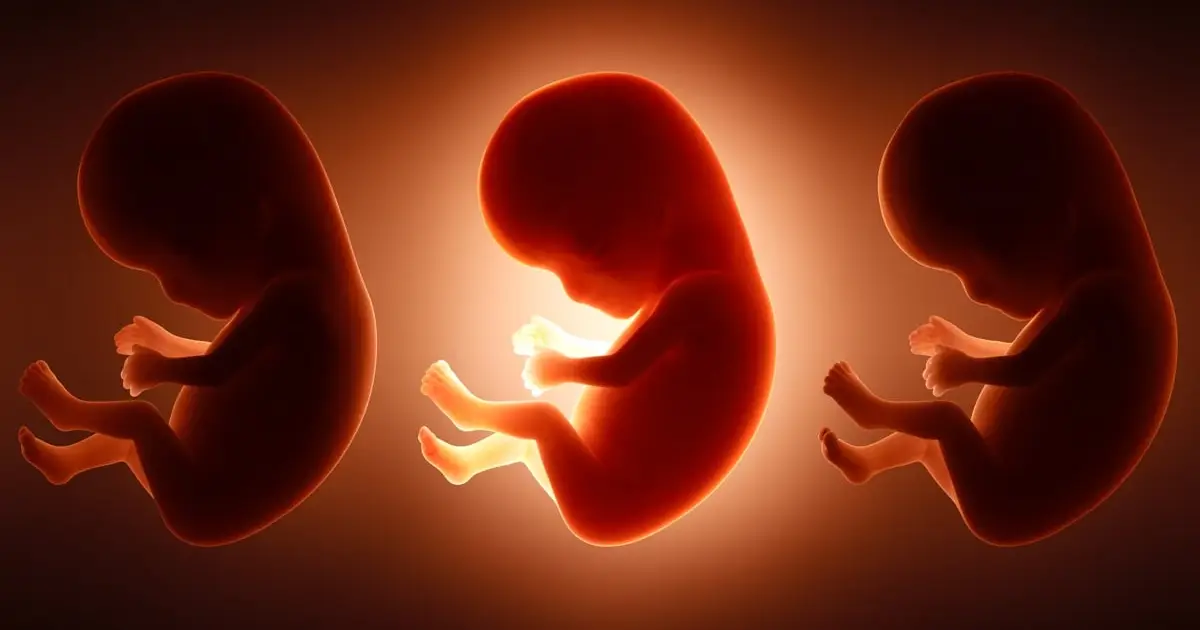 It's Not Just Mom's Diet: Father's Junk Food Habit May Shape His Unborn Baby