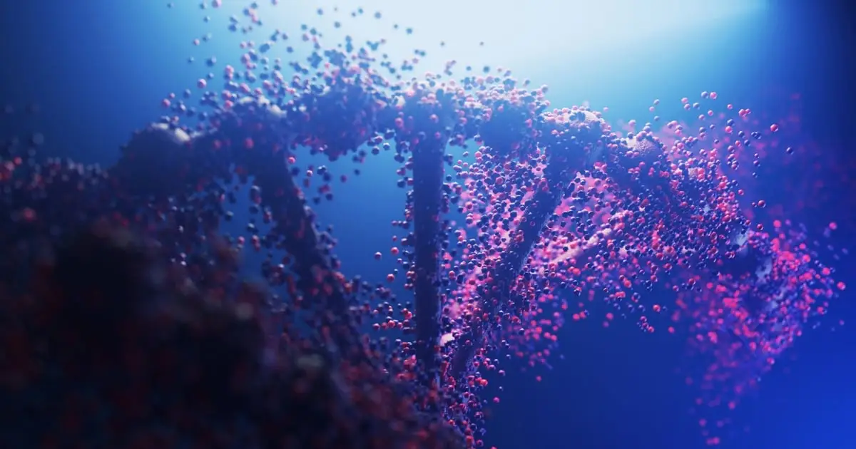 Strange DNA Structures Found in The Human Genome Go Beyond The Double Helix