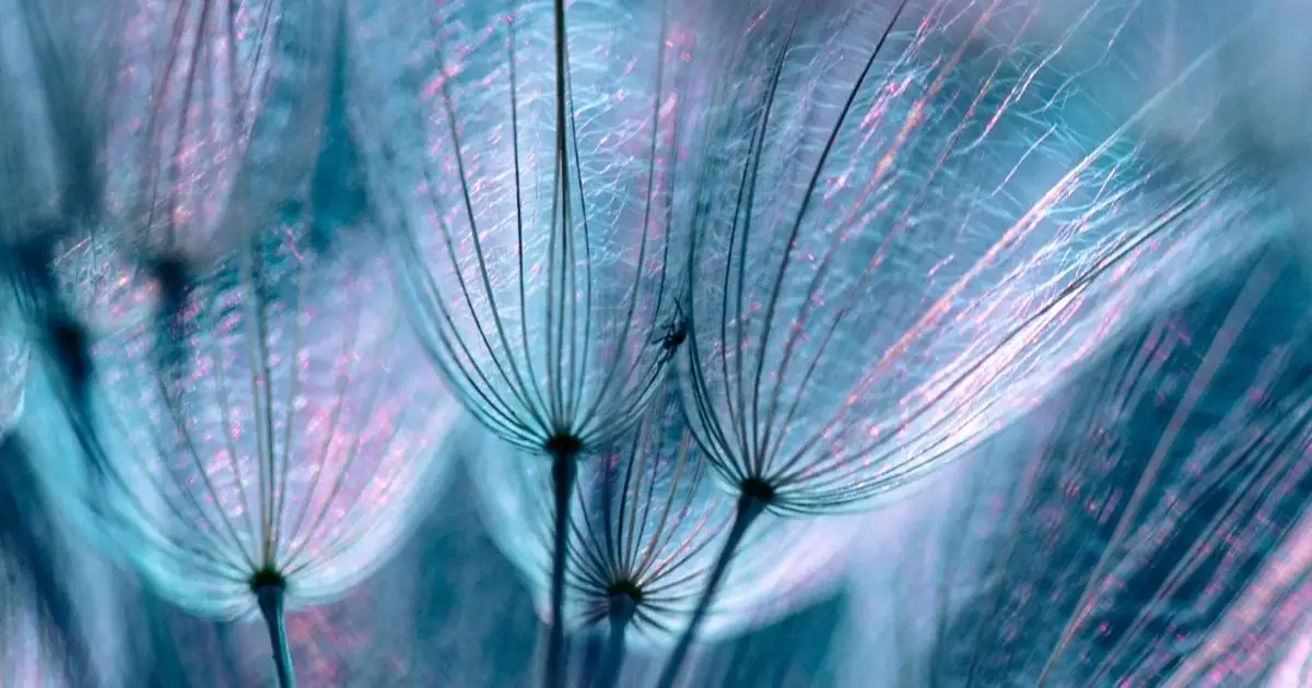 The World's Largest Psychedelic Brain Study of Its Kind Just Found 'Hidden Order' in The Chaos