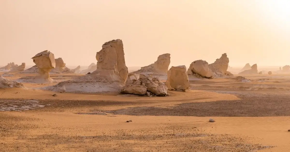 An Ancient Shark Graveyard Has Been Found in The Egyptian Desert