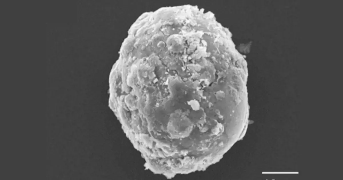 What Do You See? This Week's Monday Microscope Mystery