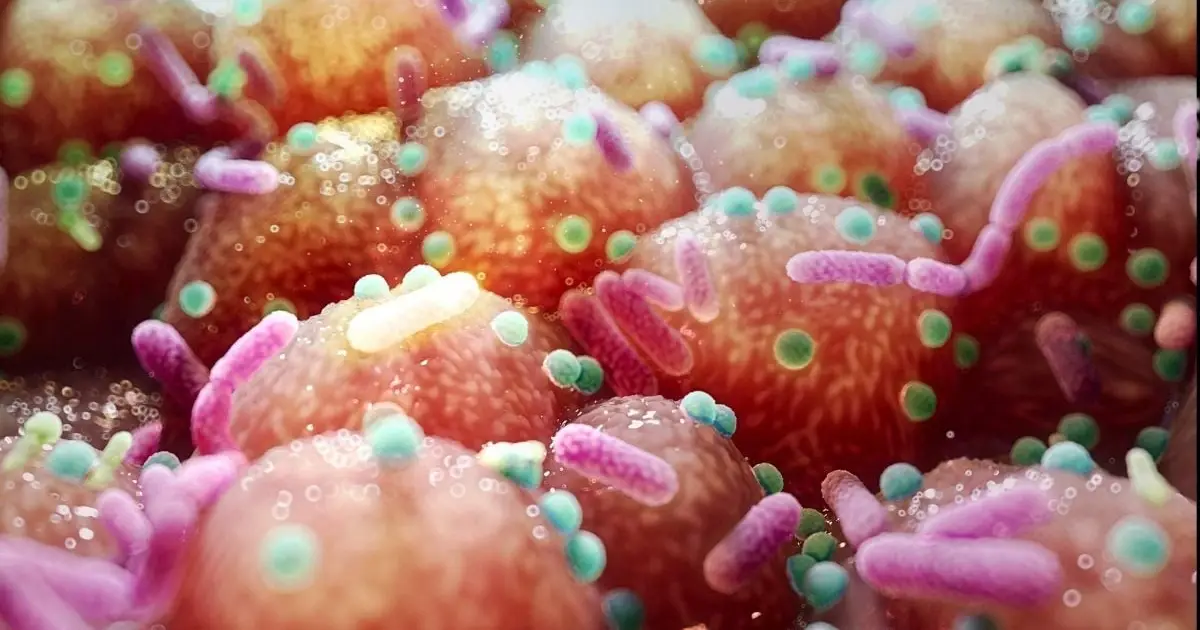 Parkinson's Link to Gut Bacteria Hints at Unexpectedly Simple Treatment