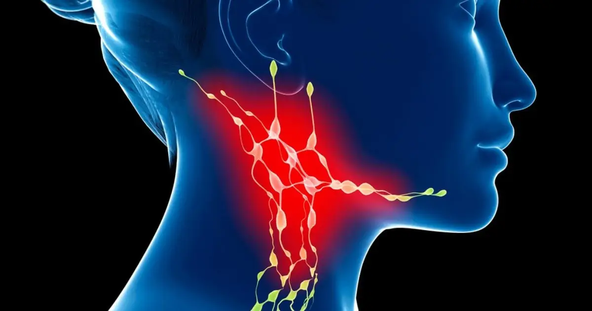 Tiny Channels in Your Neck Might Determine How Your Brain Ages