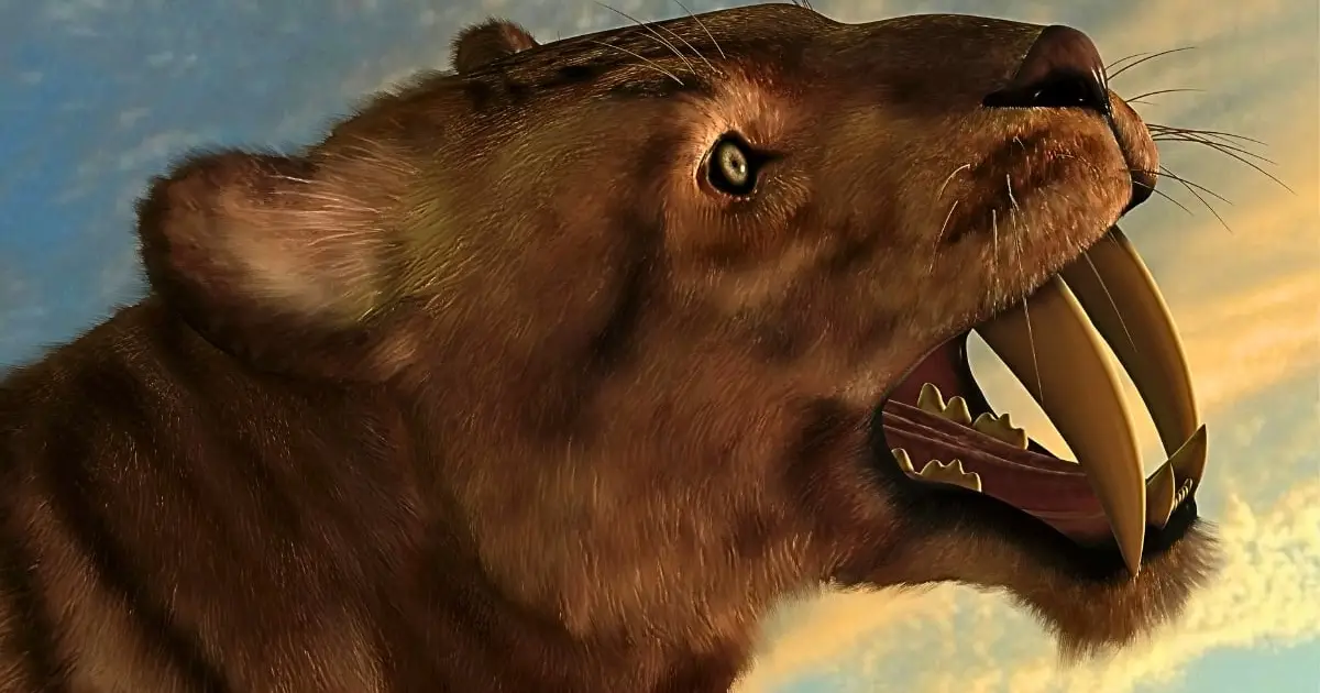 Saber-Toothed Cats Were A Diseased, Inbred Mess Before They Went Extinct, New Research Suggests