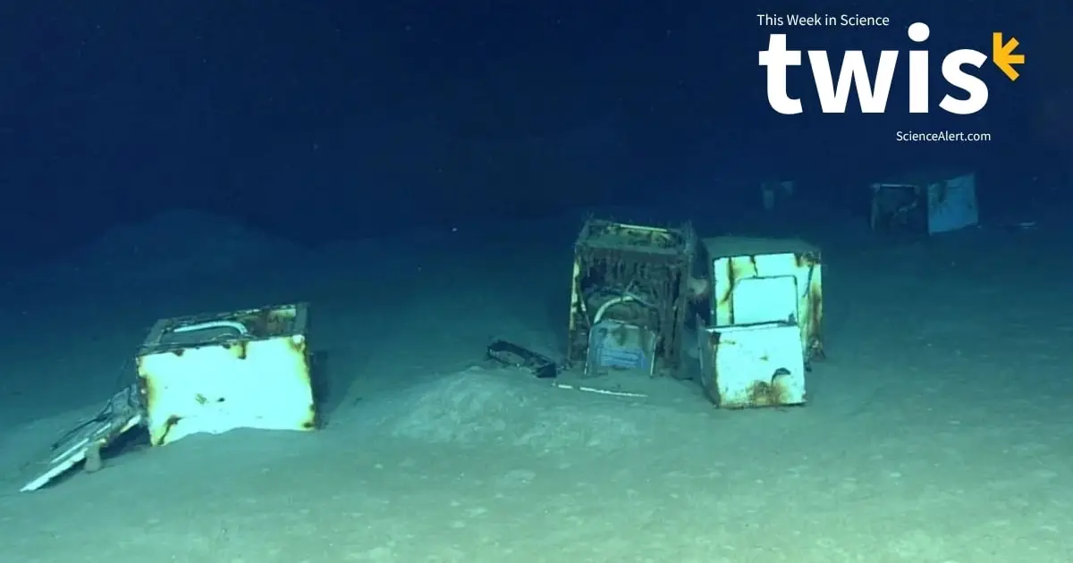 This Week in Science: Ocean 'Backrooms', Plastic Cookies, And More!