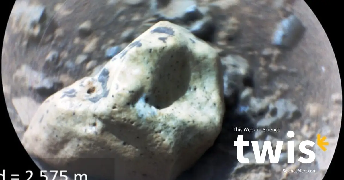 This Week in Science: AI Agents Come to an Agreement, Gemstones on Mars, And More!