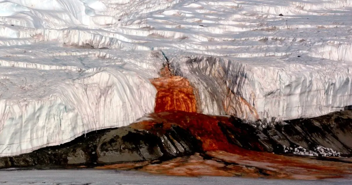 'Unique Refuge': A Lost Sea May Still Be Alive Beneath Antarctica's Eerie Blood Falls