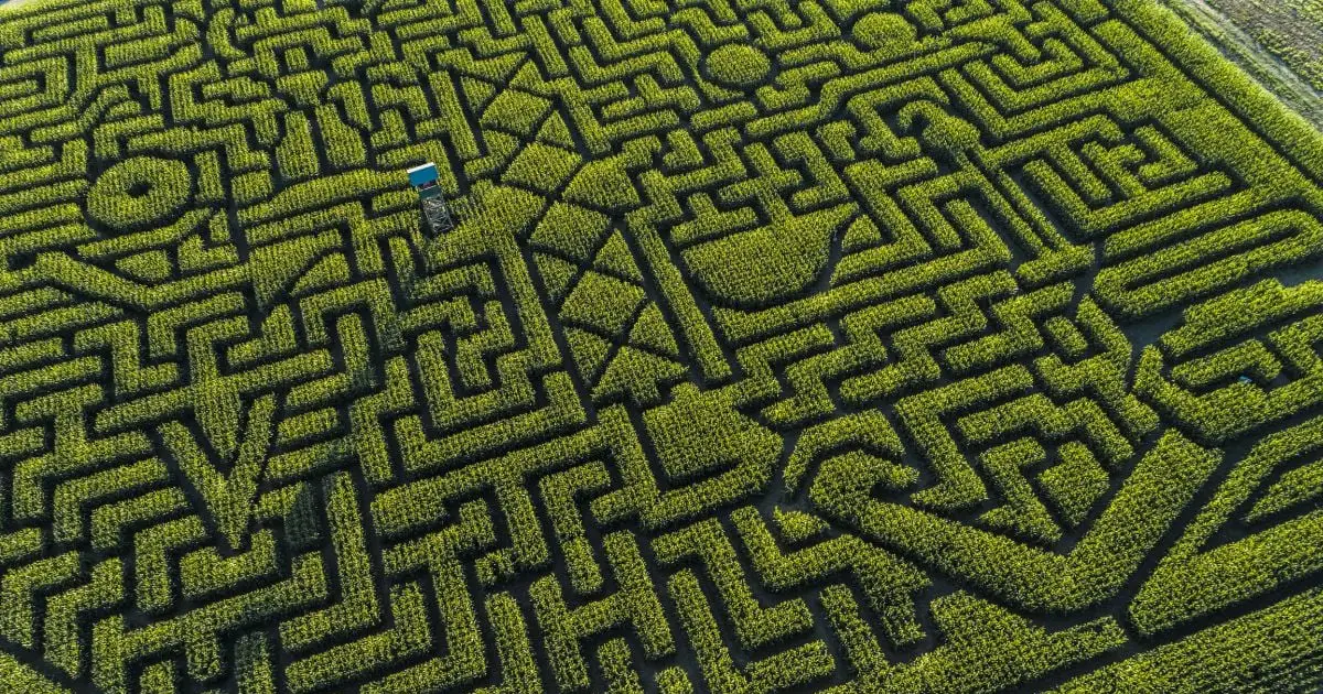 GPS Glitched Across The US by as Much as 33 Feet. Scientists Have Never Seen This Before.