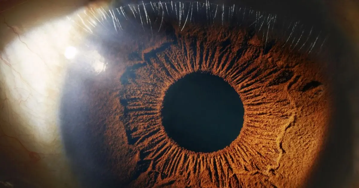 World First: Mitochondria From a Woman's Leg Were Injected Into Her Eyes