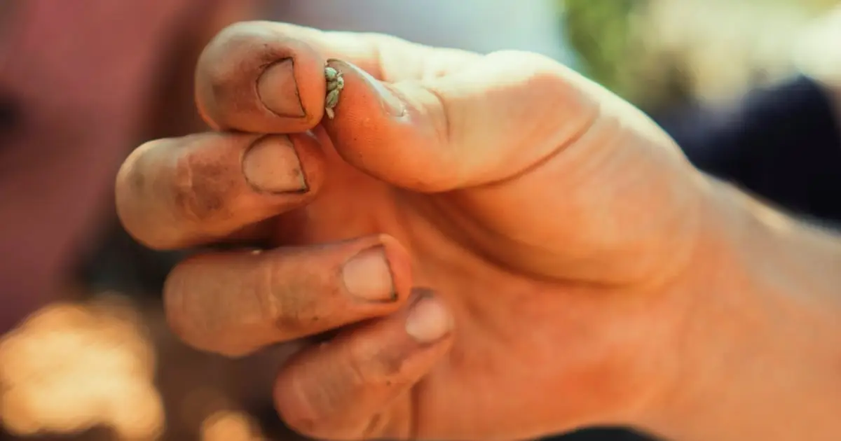 Scientists Analyzed Earth's Hidden Seed Vaults And Made a Disturbing Realization