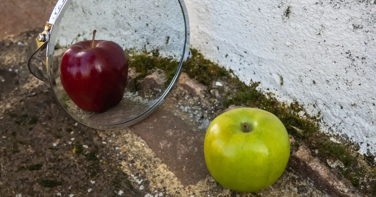 Scientists Have Built a 'Lying Mirror' That Deliberately Shows You The Wrong Image