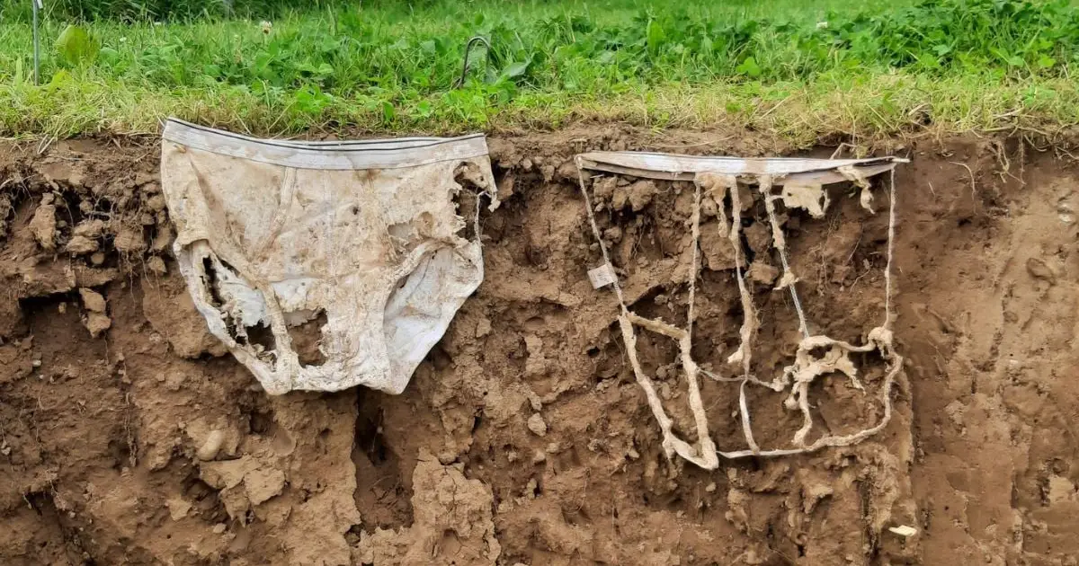 Soil Scientists Buried 2,000 Pairs of Underwear to Prove a Point