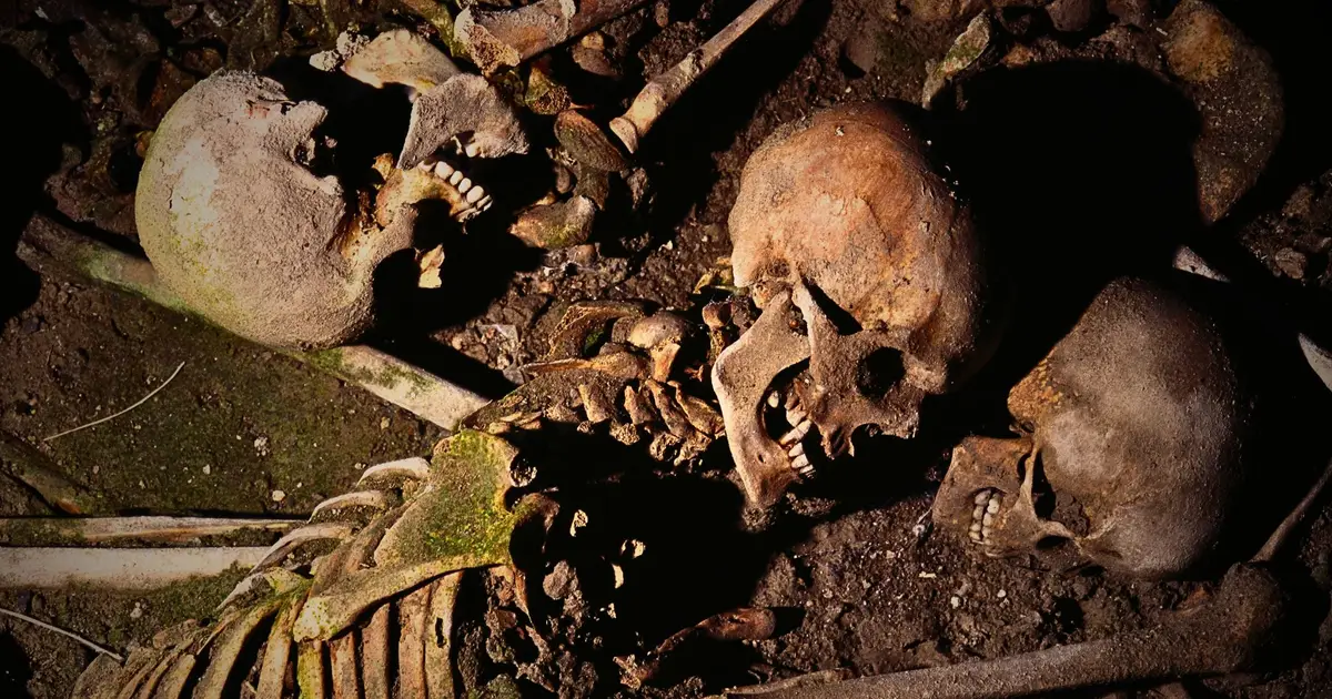 New Study Shows What Really Happened After The Black Death Wiped Out Millions