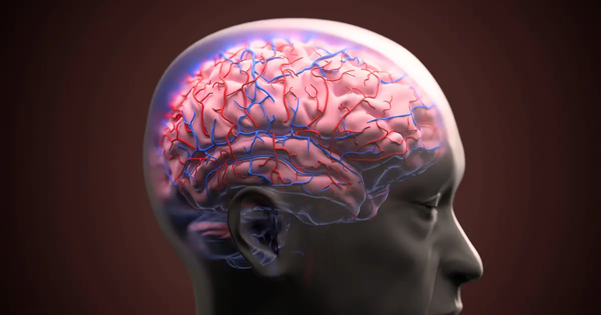 Blood-Brain Barrier Successfully Repaired in Alzheimer's Models
