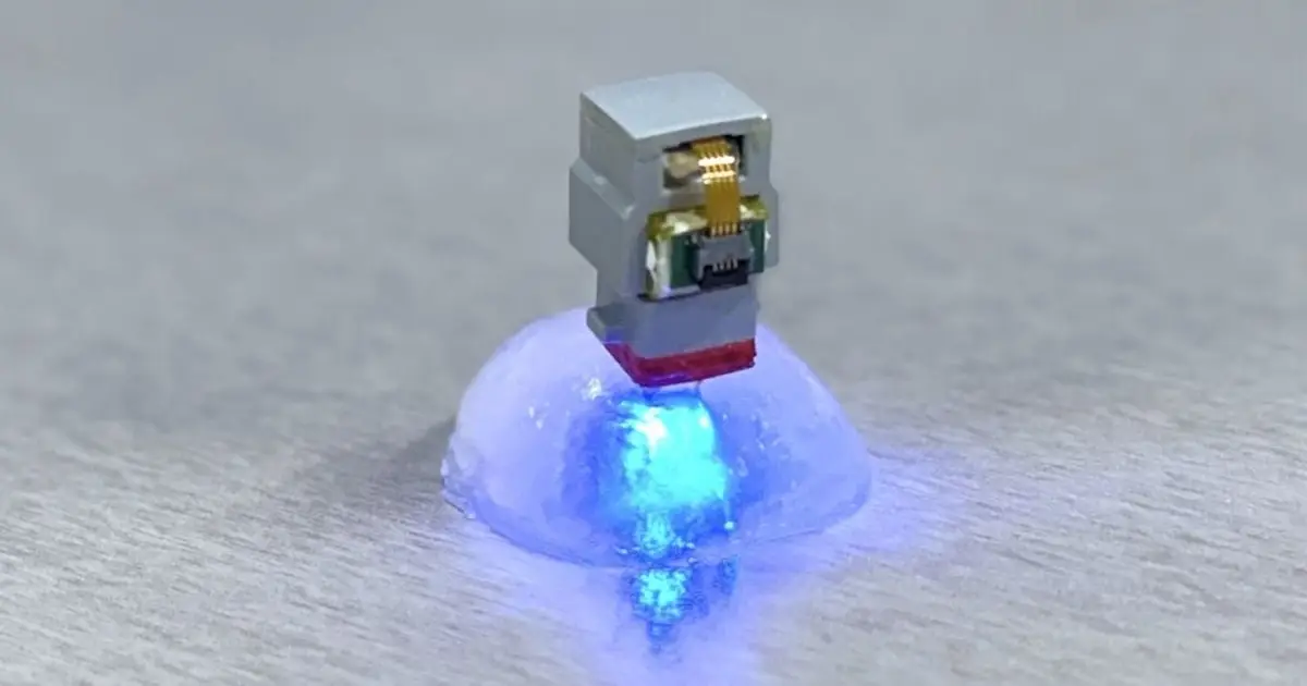 A Brain Implant in Korea Was Just Controlled From The US