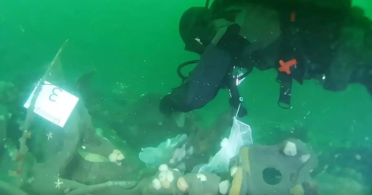 A WW1 Submarine Wreck Is Leaking Explosives Into The North Sea