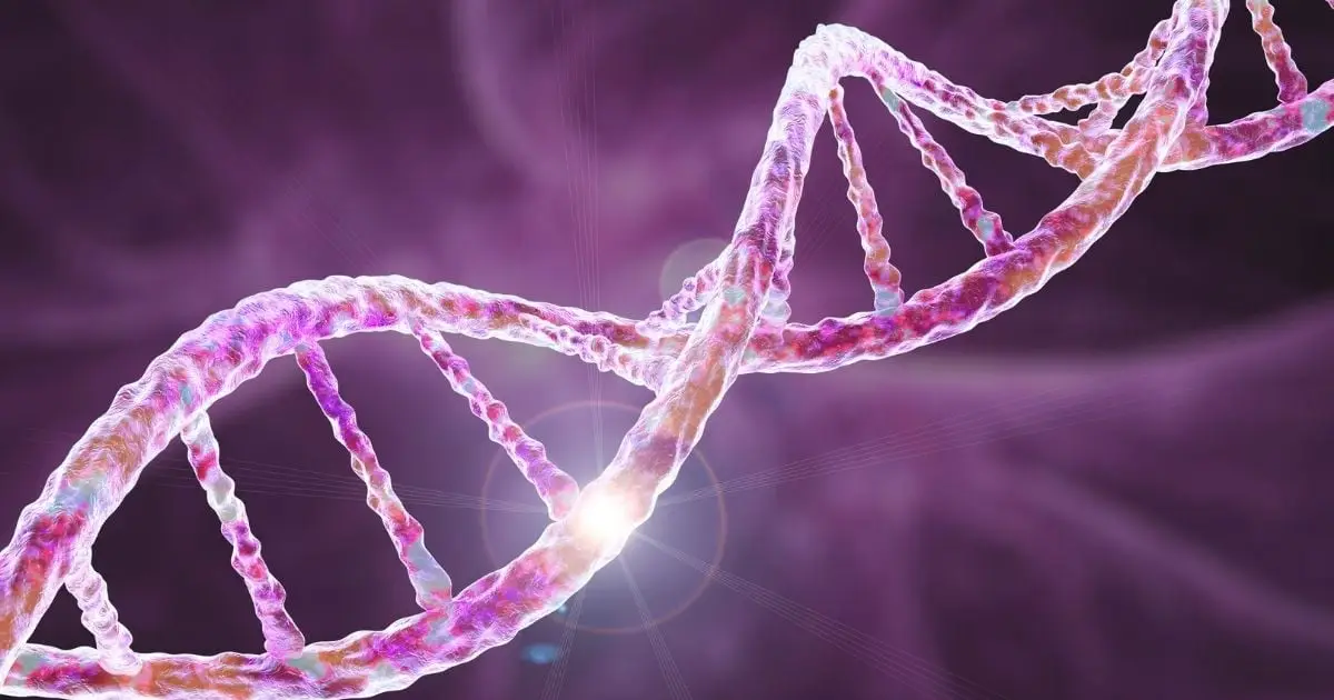 Scientists Uncover Shared Genetic Roots of OCD, Tourette Syndrome, And Autism