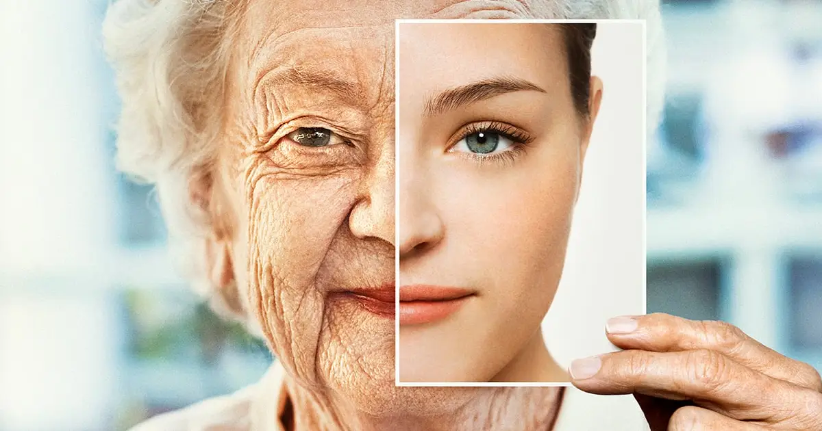 Blocking One Immune Signal Reversed Signs of Aging in Mice