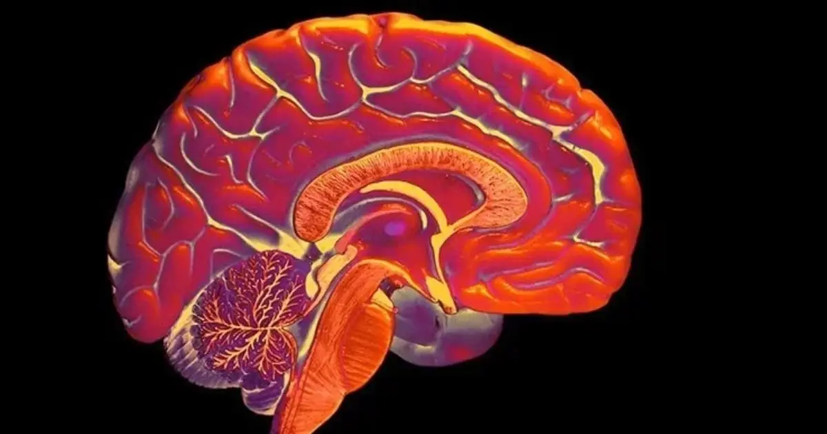 Lifelong Deafness Could Rewire a Person's Peripheral Vision